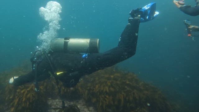 Scuba diver exploring the blue sea with an oxygen tank