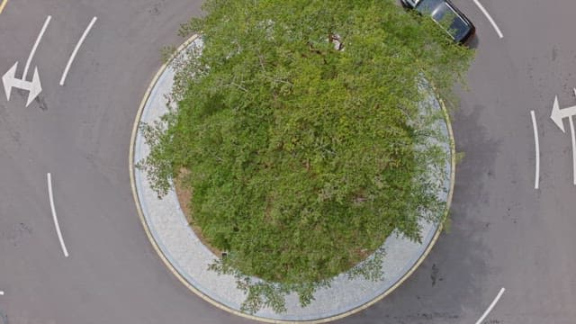 Roundabout with green trees and cars