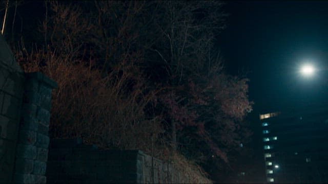 Car Driving Down a Quiet Street in a Residential Area at Night