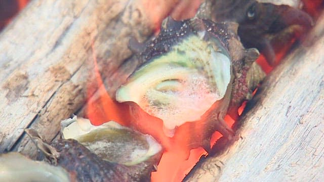 Cone dish cooked over a blazing charcoal fire