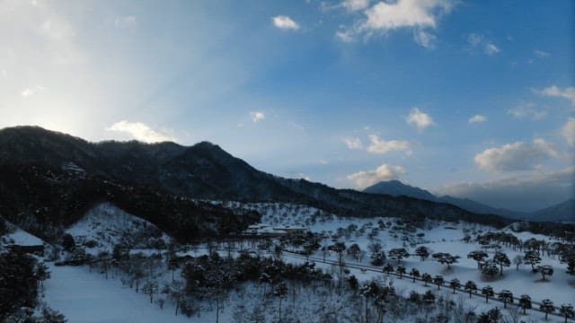 Snow-covered landscape with mountain and trees