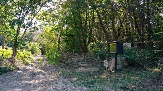 Entrance to a quiet forest path with a sign