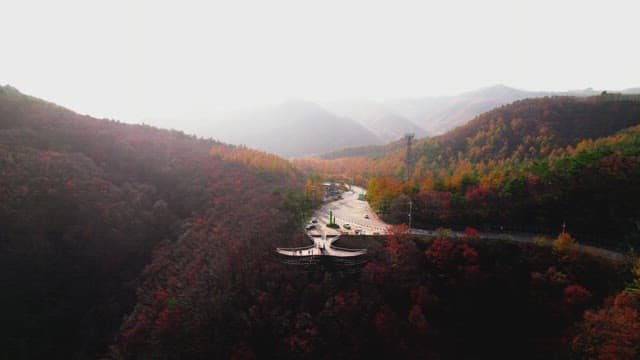 Road Between Mountains with Colorful Fall Foliage