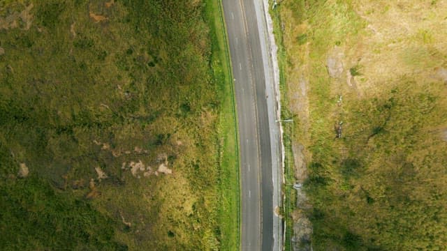Quiet Road Through Green Nature