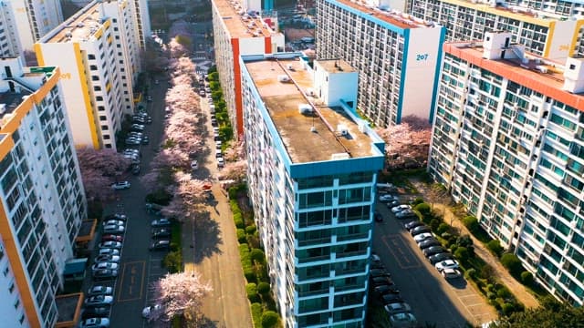 Apartment Complex with Cherry Blossoms on a Sunny Spring Day