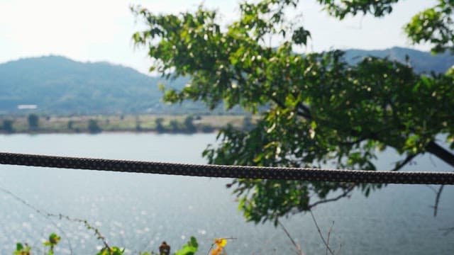 Serene river view with a wooden fence