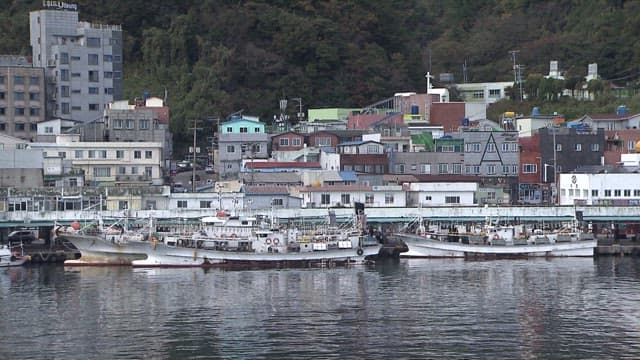 Fishing Boats Docked at a Coastal Harbor
