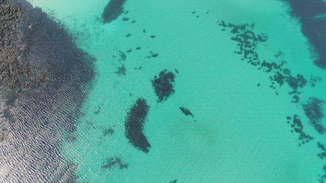 View of a clear turquoise beach