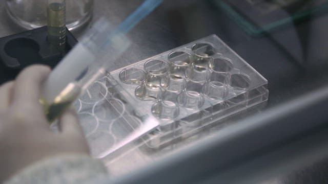 Scientist using pipette in a lab
