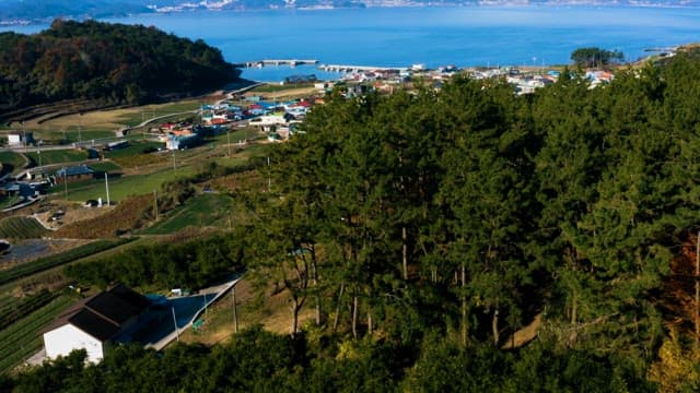 Scenic Coastal Village with Mountains