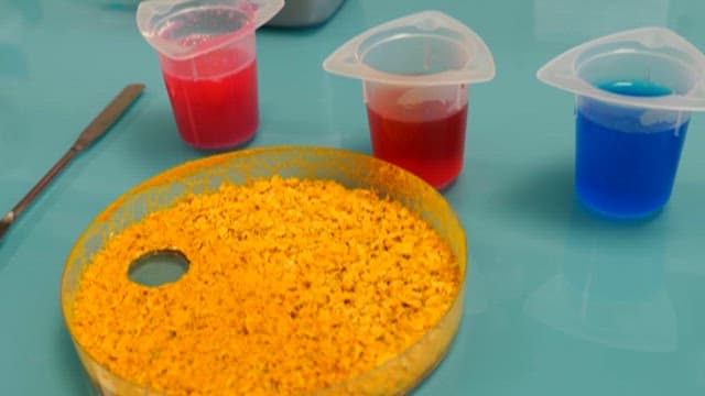 Colorful Solutions and Petri Dishes Prepared for Experiment
