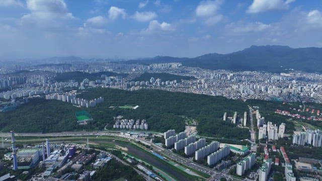 Cityscape with Green Space and Dense Buildings Coexisting