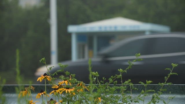 Bus stop in a rural village surrounded by greenery