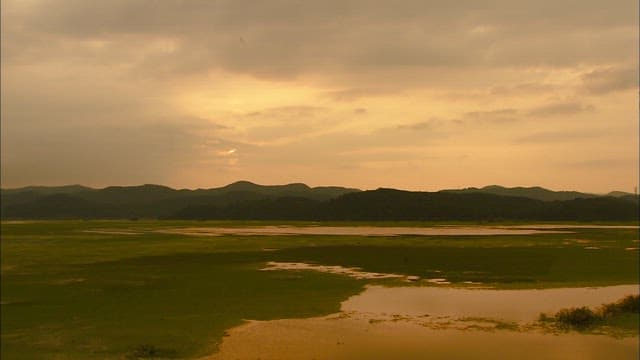 Serene Wetland at Dusk