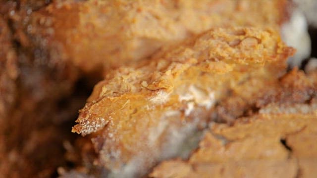 Detailed Texture of Fermented Soybean Lump