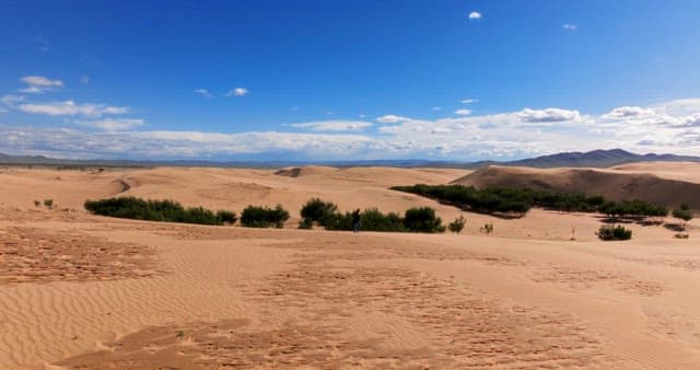 Vast desert landscape with greenery