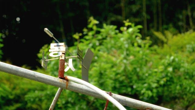 Weather vane rotating in a lush green forest on a sunny day