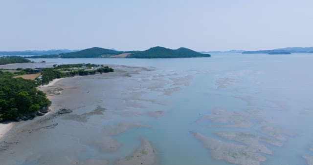 Coast with Mudflat Exposed by Low Tide