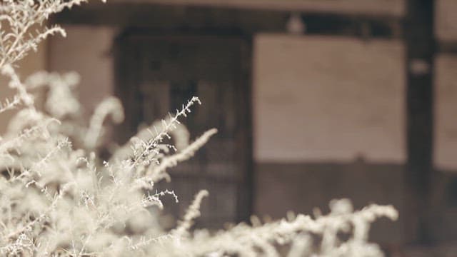 Old door of a traditional Korean house