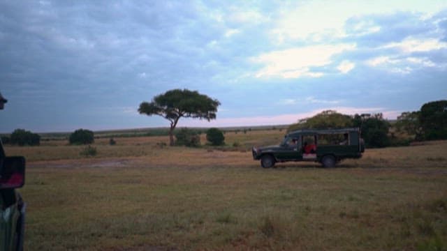Safari Vehicle Exploring a Grassland