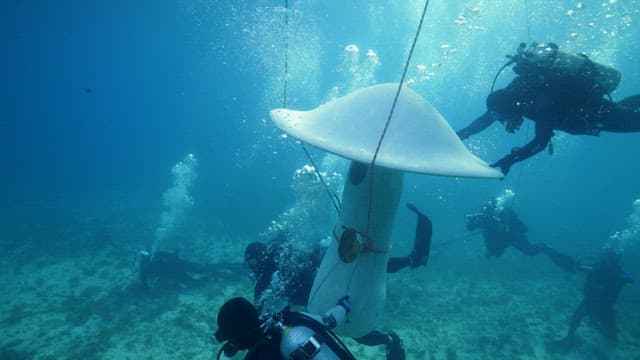 Divers setting up an underwater structure
