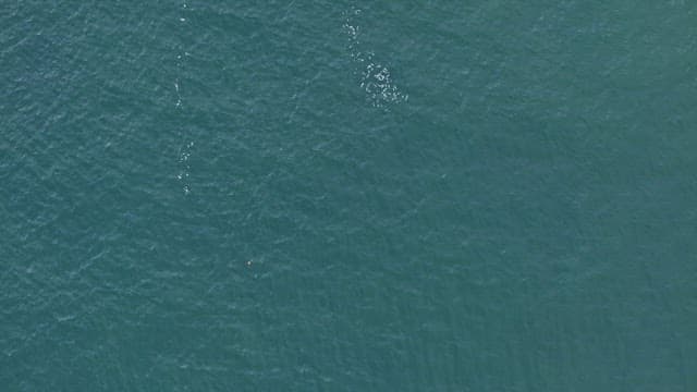 Waves crashing against rocky cliffs