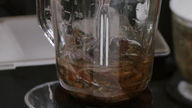 Grinding various ingredients in a blender