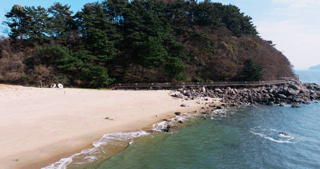 Walkway Between a Lush Forest and a Blue Sea