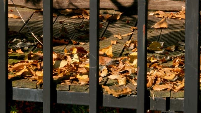 Fallen leaves on a wooden deck on a sunny autumn day