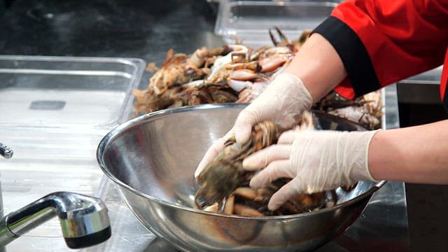 Preparing crabs in a stainless steel bowl