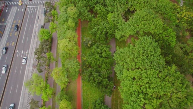 Aerial view of a city park with trees