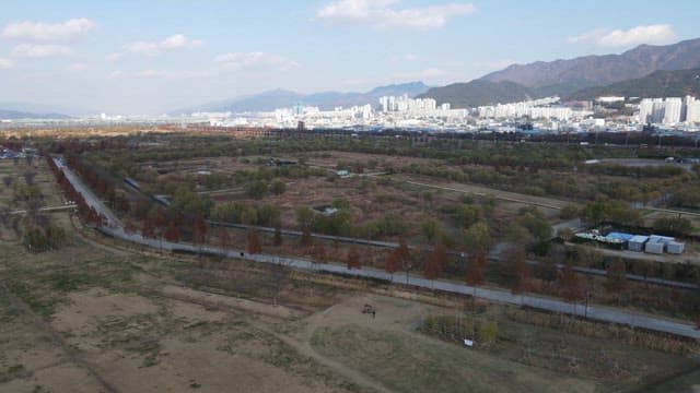 Expansive park with city skyline
