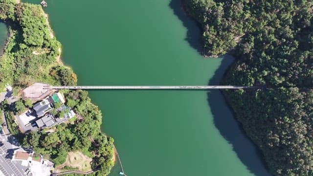 View of a Suspension Bridge with Scenic Lake and Forests