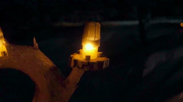 Illuminated lantern on a tree at night