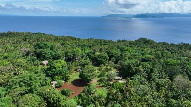 Dense forest along a blue coastal shoreline