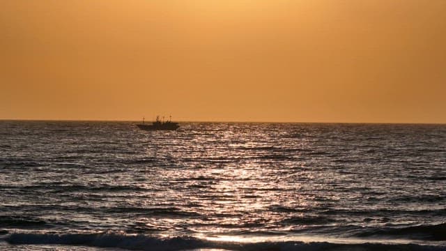 Serene ocean with a distant ship