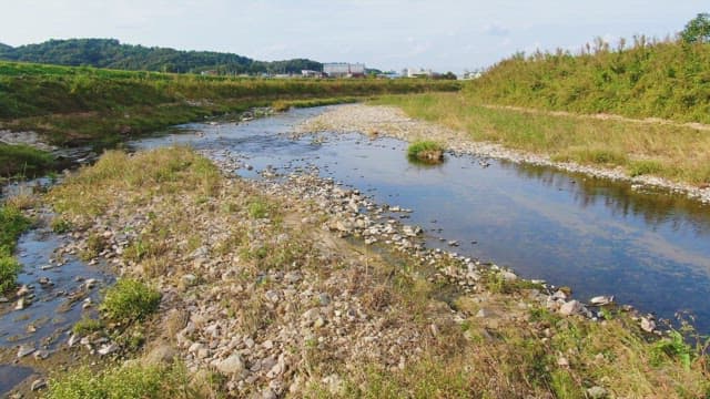 Serene rural landscape with fields and a stream