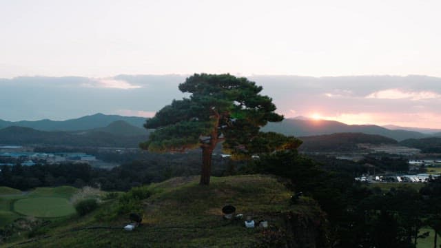 Serene Sunset Behind a Single Tree on a Hillock