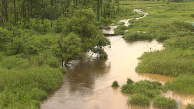 River Overflowing with Flood