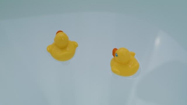 Rubber Ducks Floating in a Bathtub