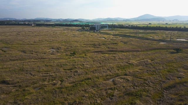 Expansive fields with distant buildings