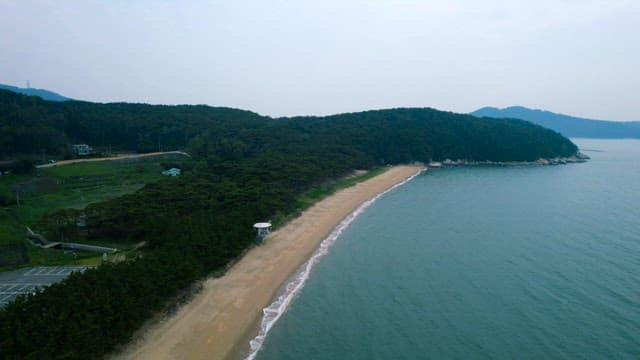 Serene Coastal Landscape with Lush Forest