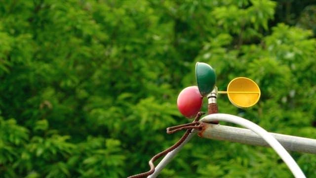 Outdoor wind vane spinning amongst green foliage