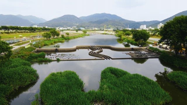 Scenic river with lush greenery