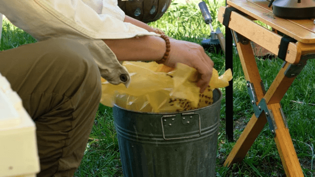 Trash can on the lawn