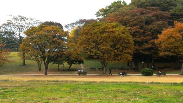 Autumn Park Scene with People Walking and Resting