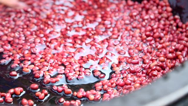 Washing Red Beans in Clean Water