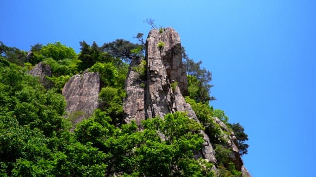Majestic rocky cliffs surrounded by lush greenery under a clear blue sky