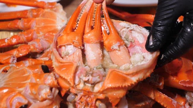 Well-steamed snow crab claw taken in the gut