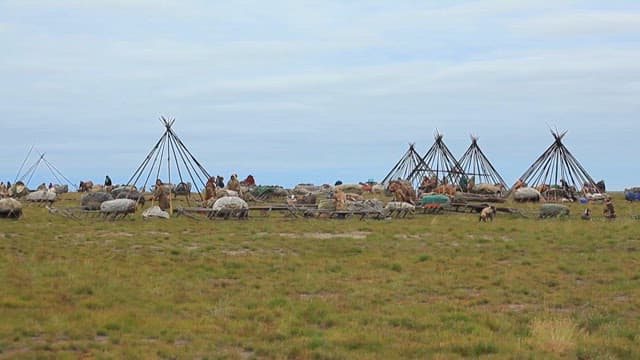 Tundra Traditional Nomad Camp